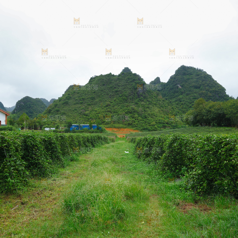 百香果园