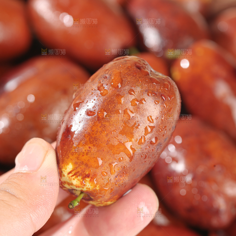 灵武长枣