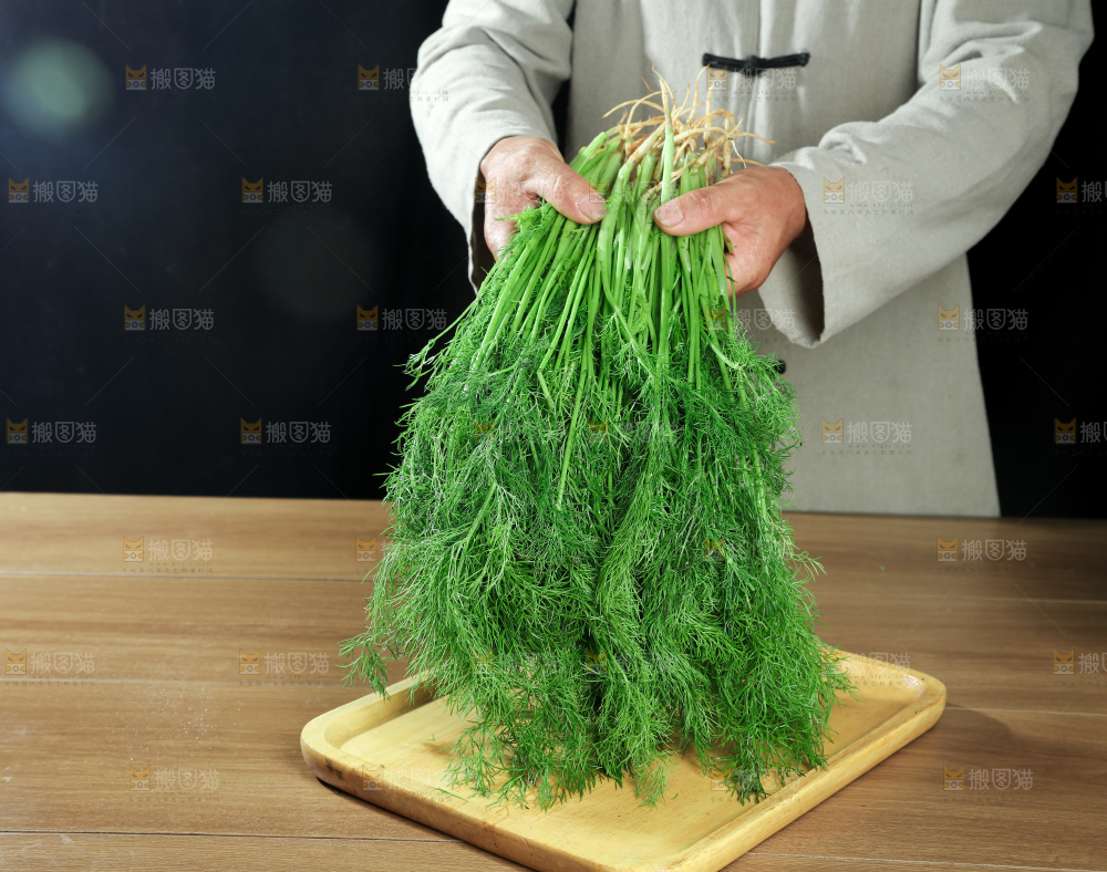 茴香