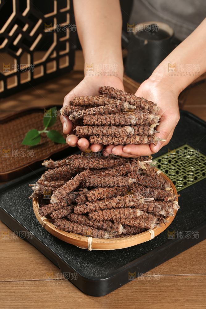 夏枯草