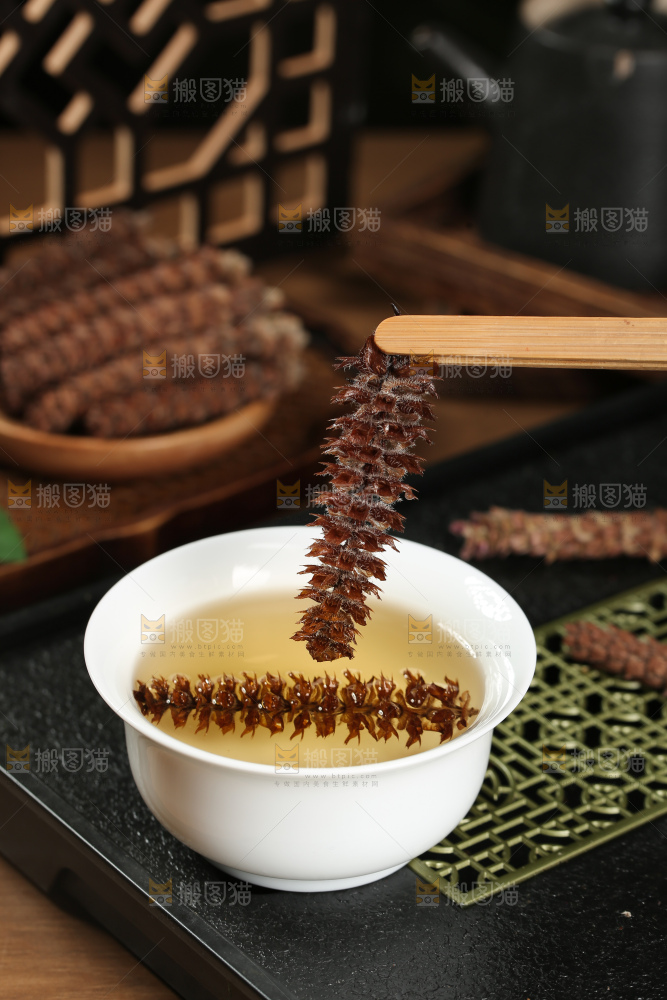 夏枯草