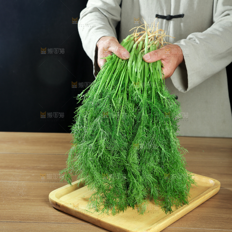 茴香
