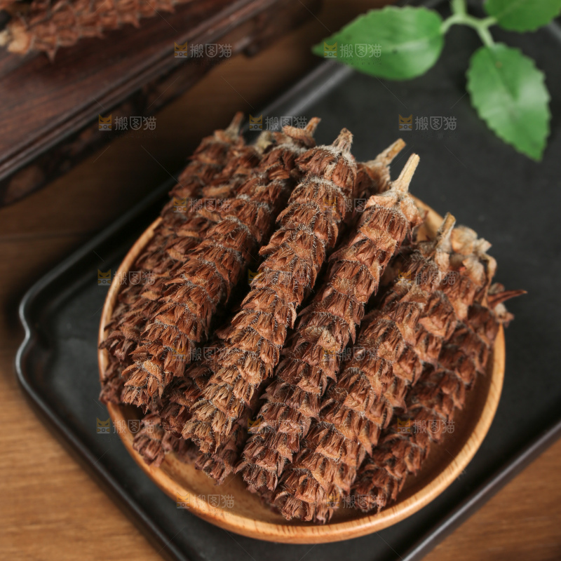 夏枯草