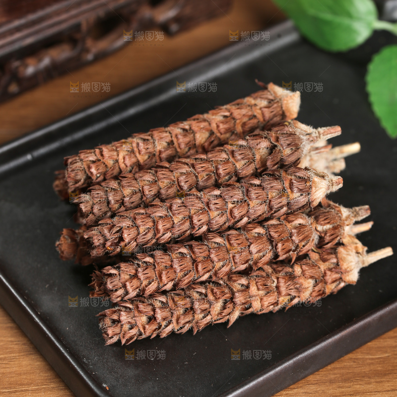 夏枯草