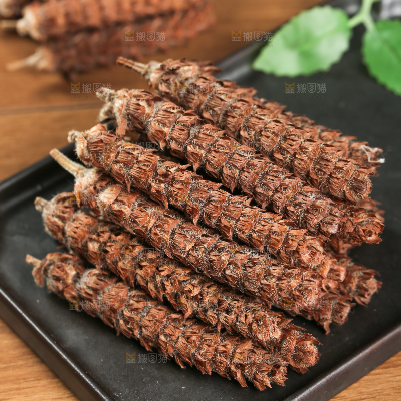 夏枯草