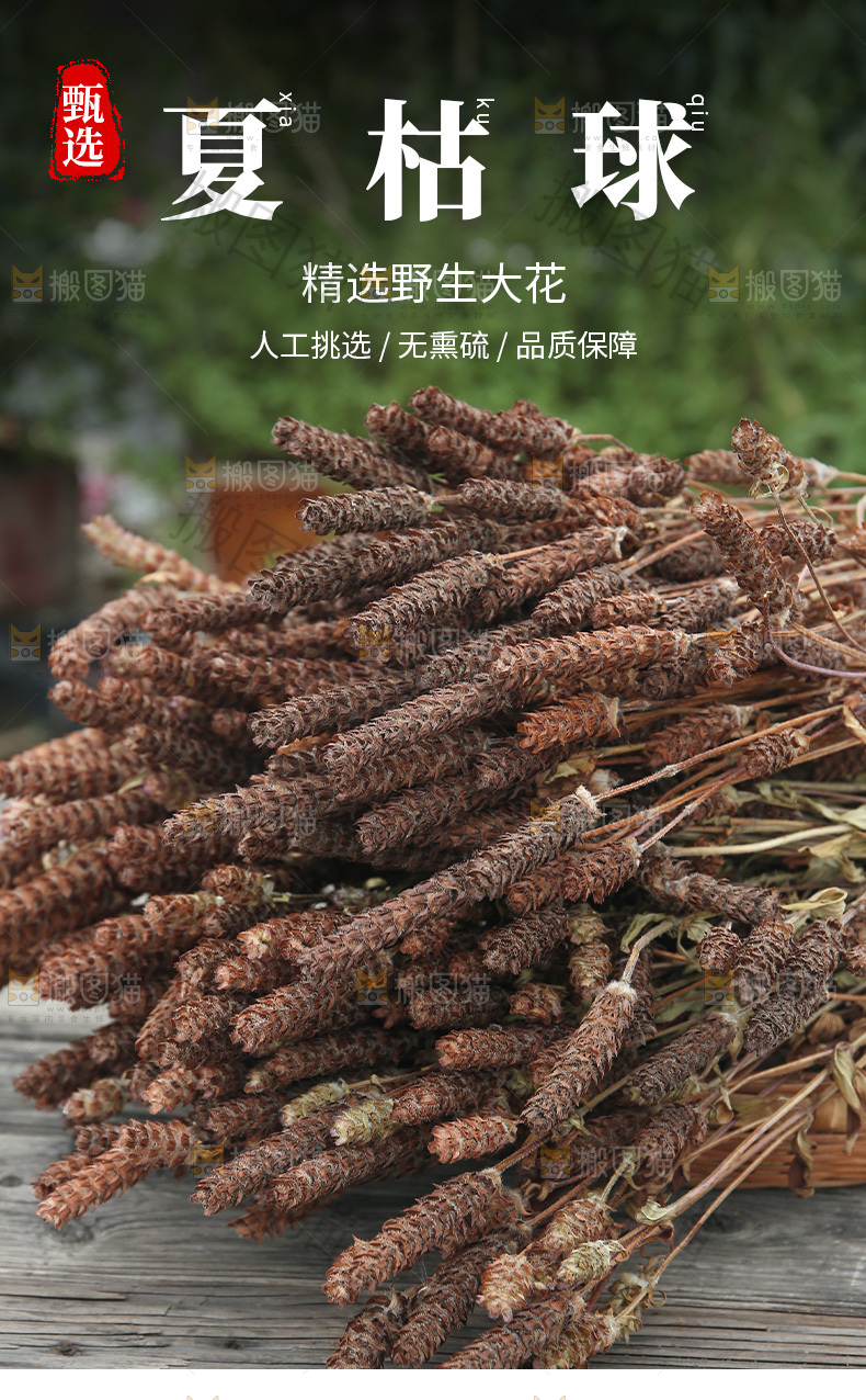夏枯草详情页