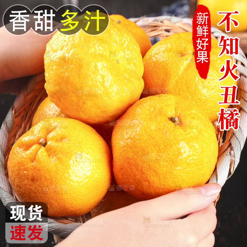 丑橘