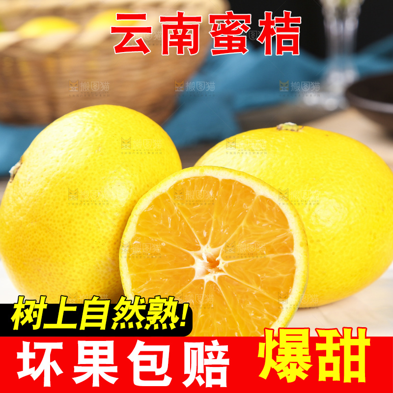 蜜桔