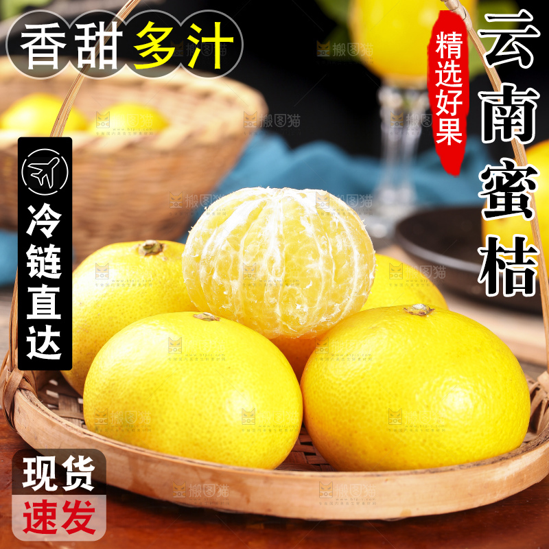 蜜桔