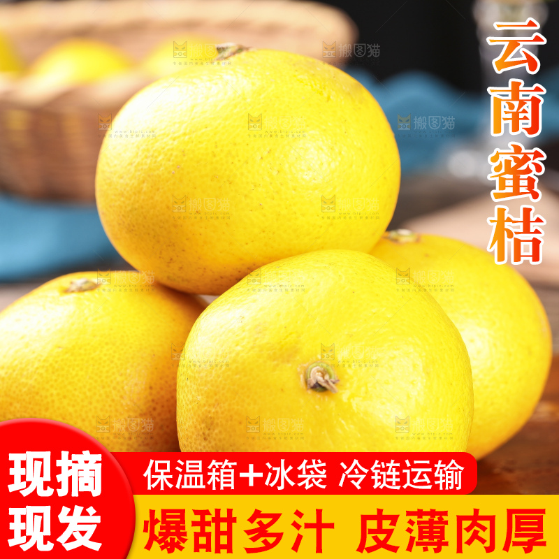 蜜桔