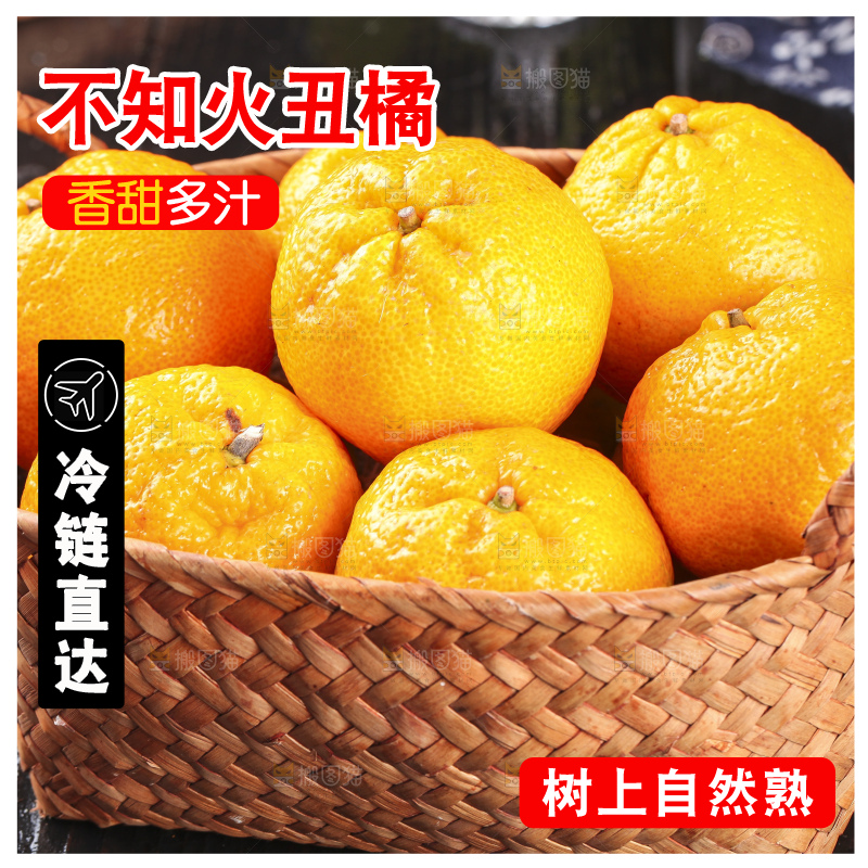 丑橘