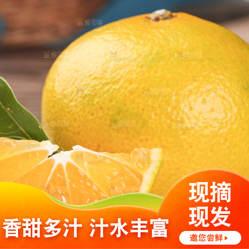 蜜桔