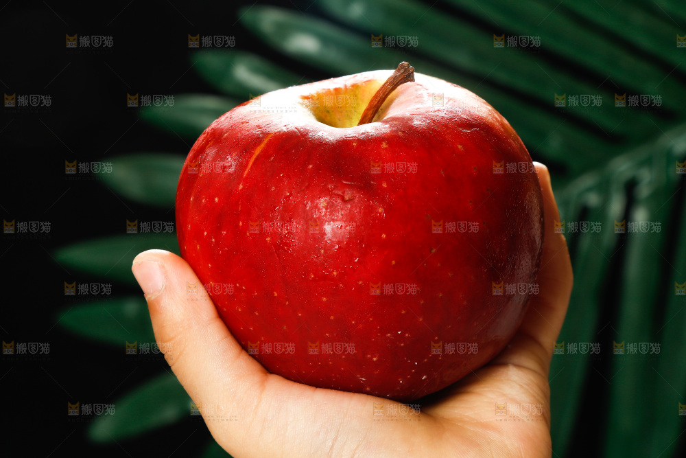 手里拿着红苹果