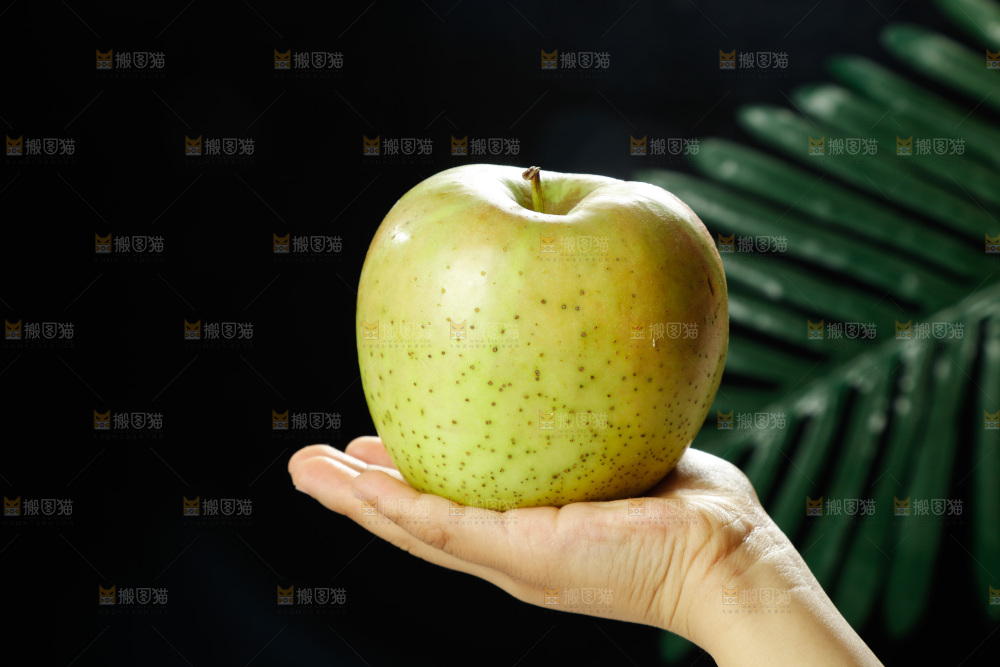 手里拿着青苹果