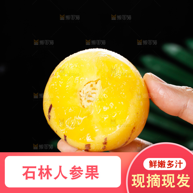 手里拿着石林人参果