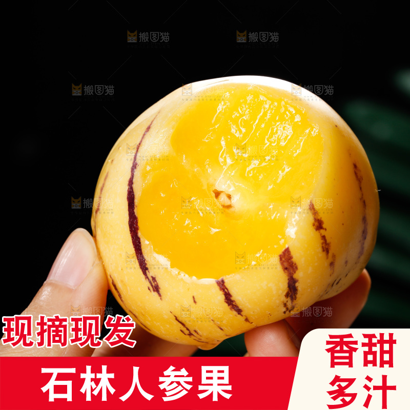 手里拿着石林人参果