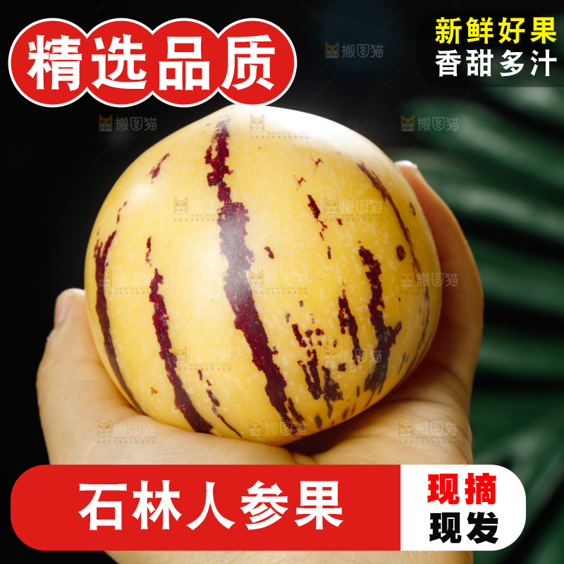 手里拿着石林人参果
