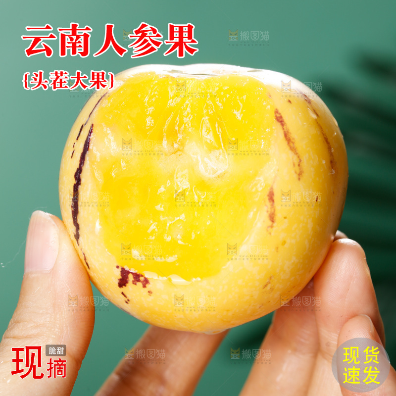 手里拿着石林人参果