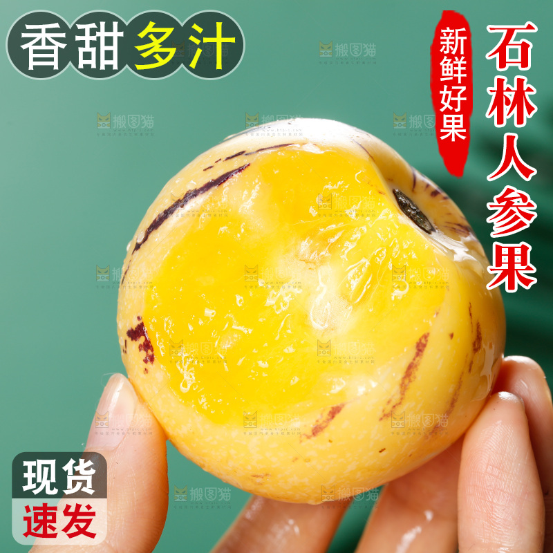 手里拿着石林人参果