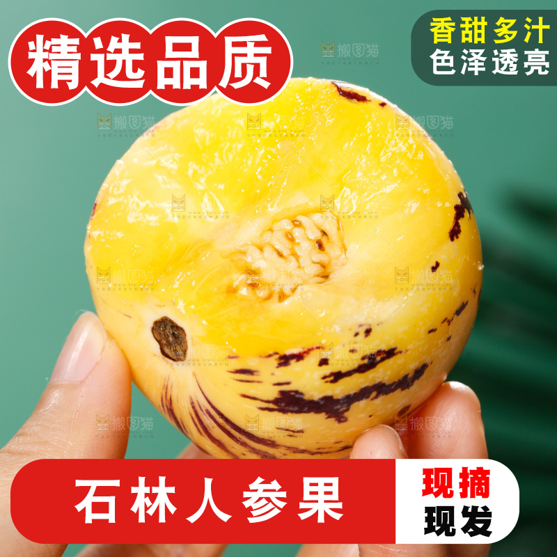 手里拿着石林人参果