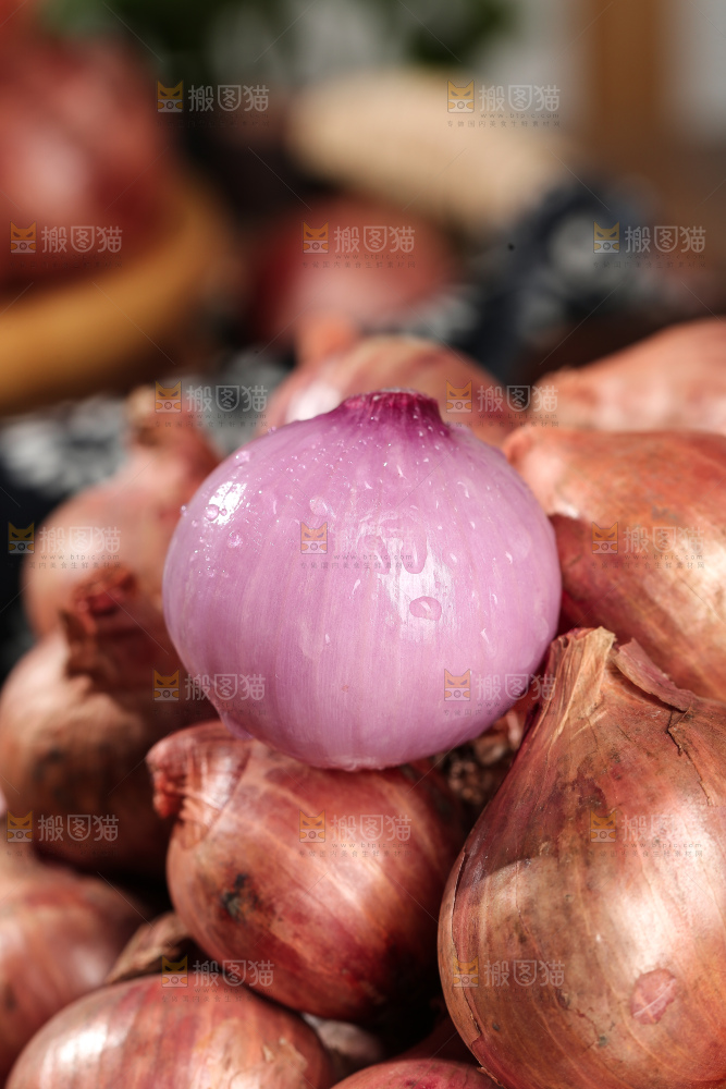 毛葱