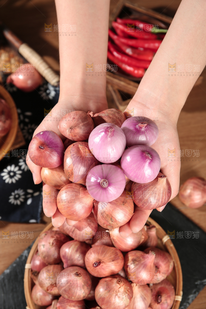 毛葱