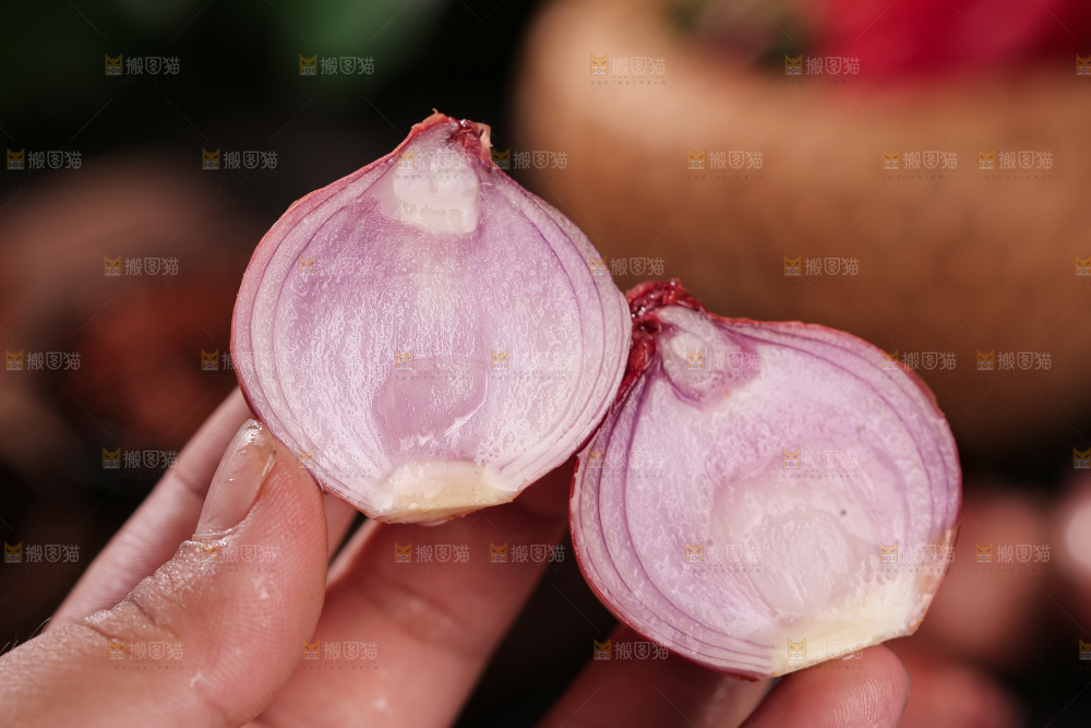 毛葱