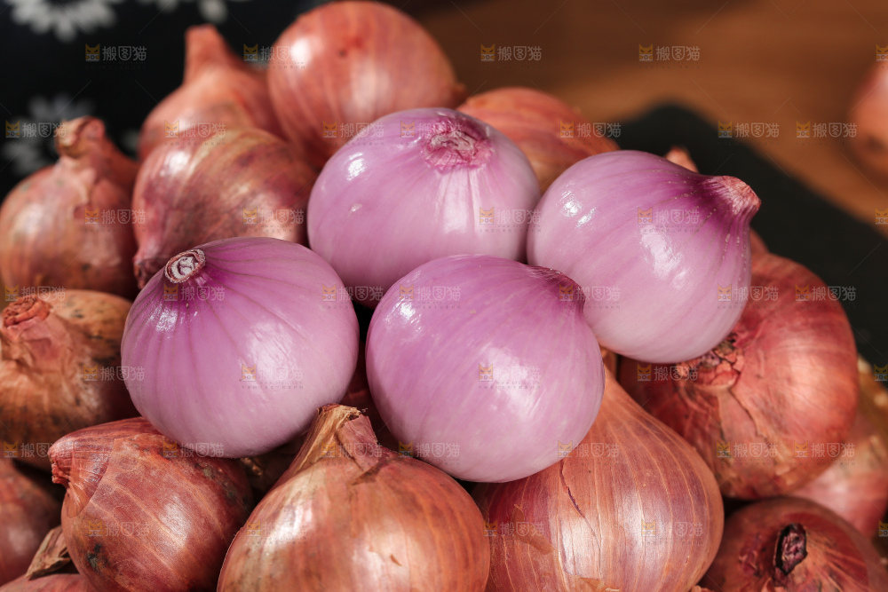 毛葱
