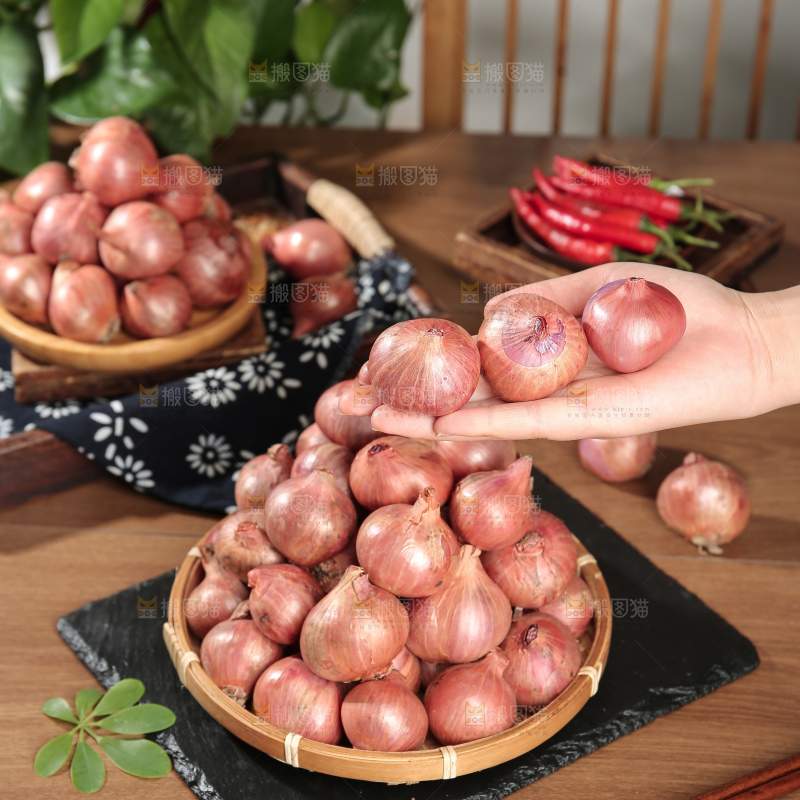 毛葱