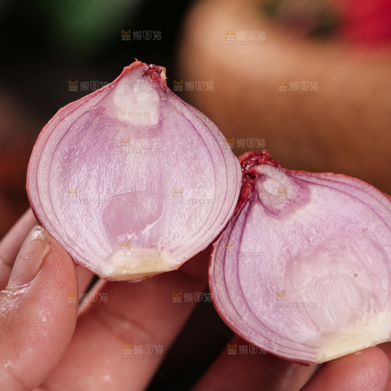 毛葱
