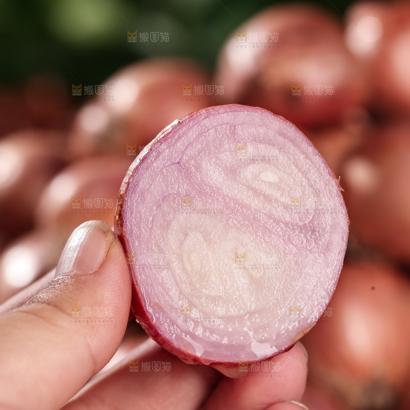 毛葱