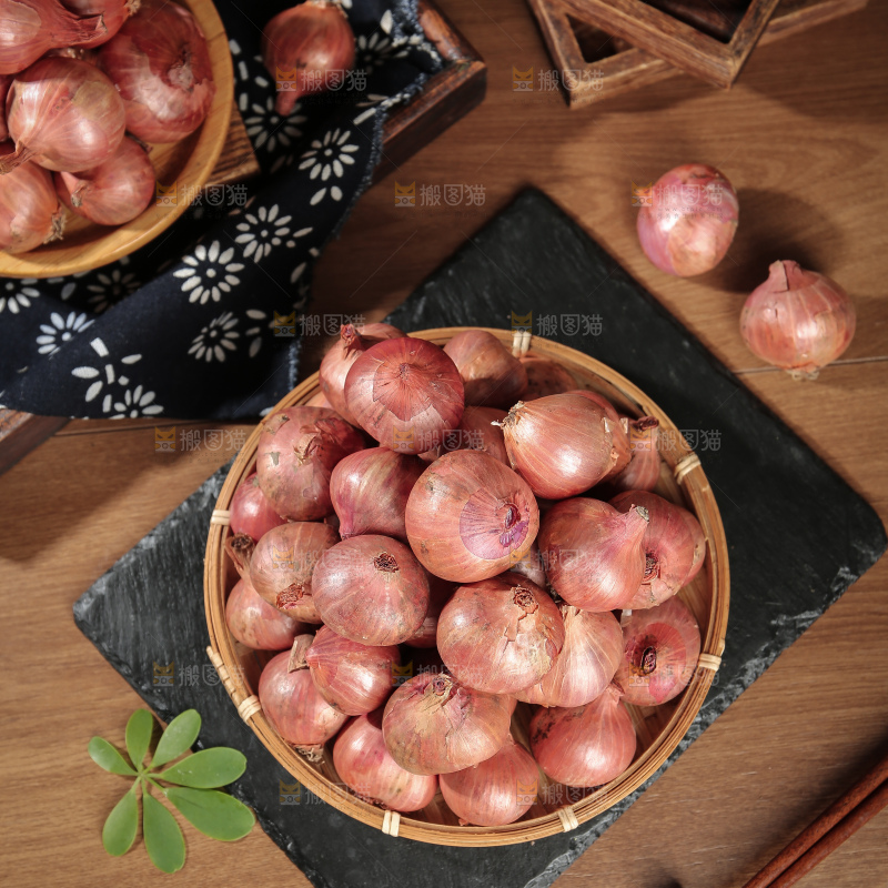 毛葱