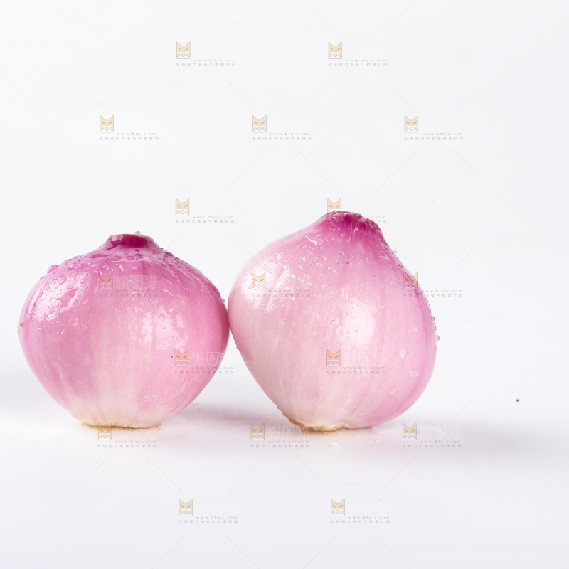 毛葱