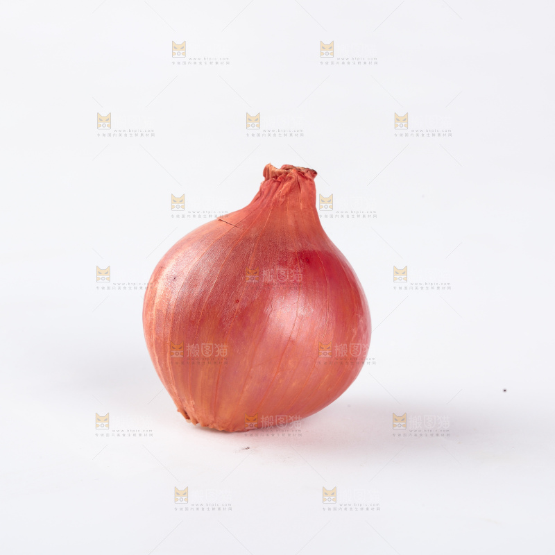 毛葱