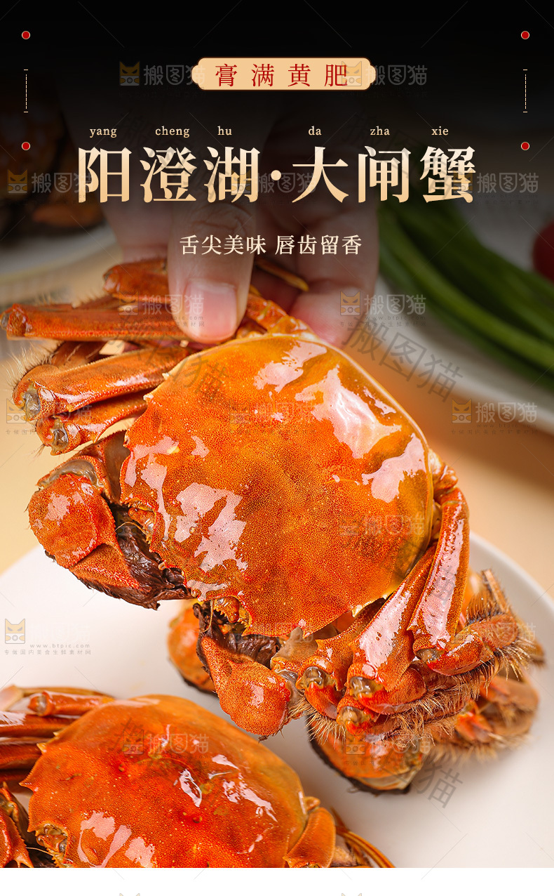 大闸蟹详情页