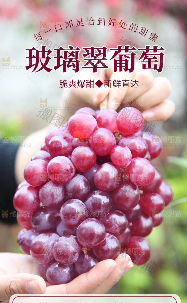 玻璃翠葡萄详情页