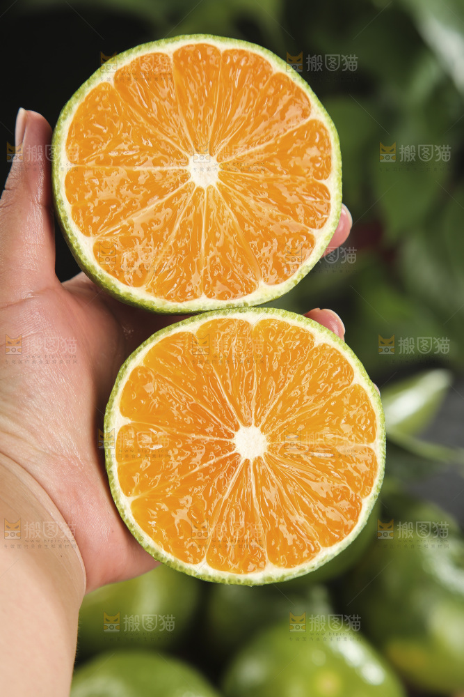 青皮蜜桔