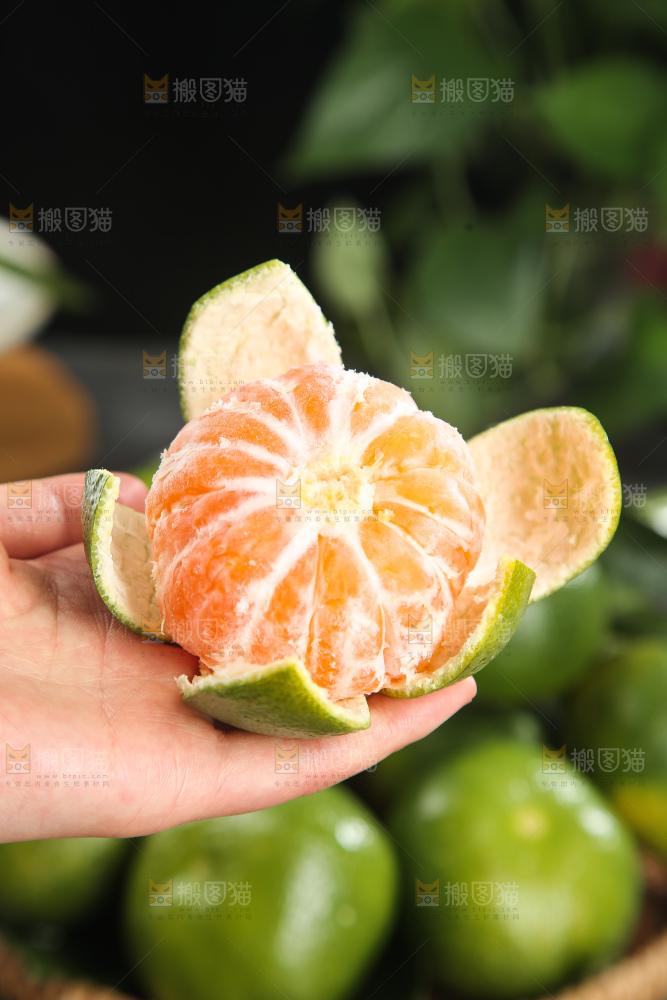 青皮蜜桔