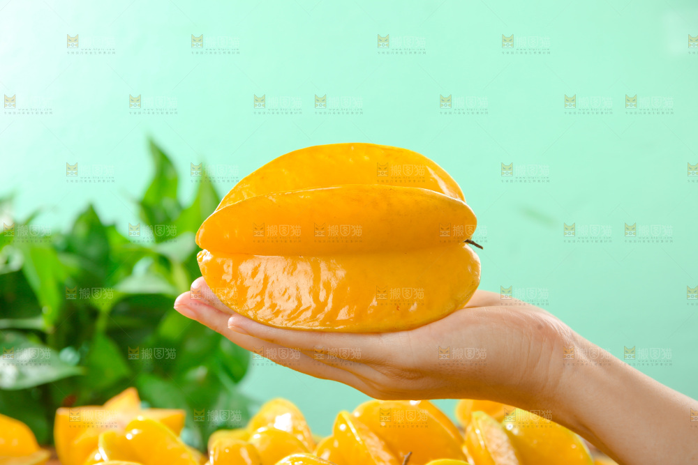 杨桃