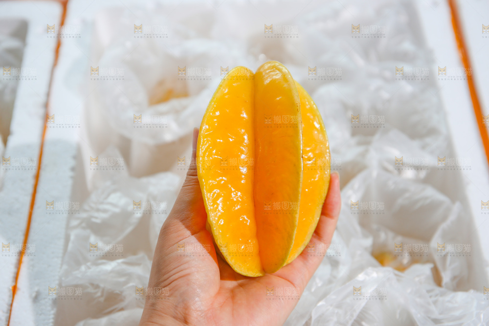 杨桃
