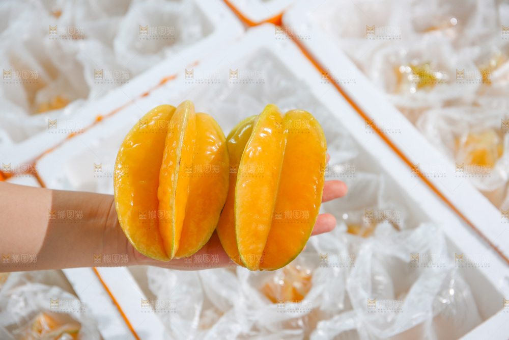 杨桃