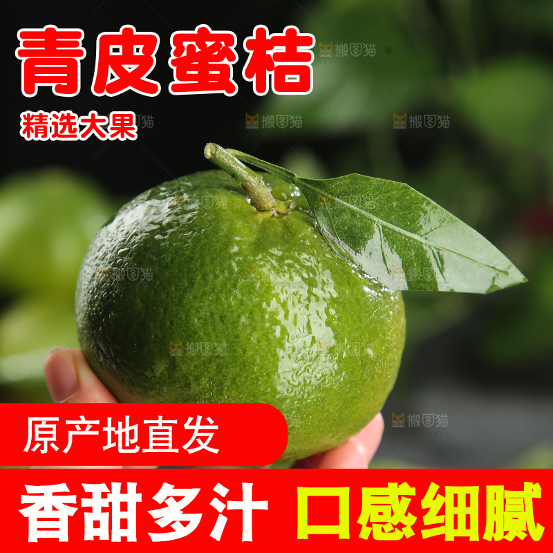 青皮蜜桔