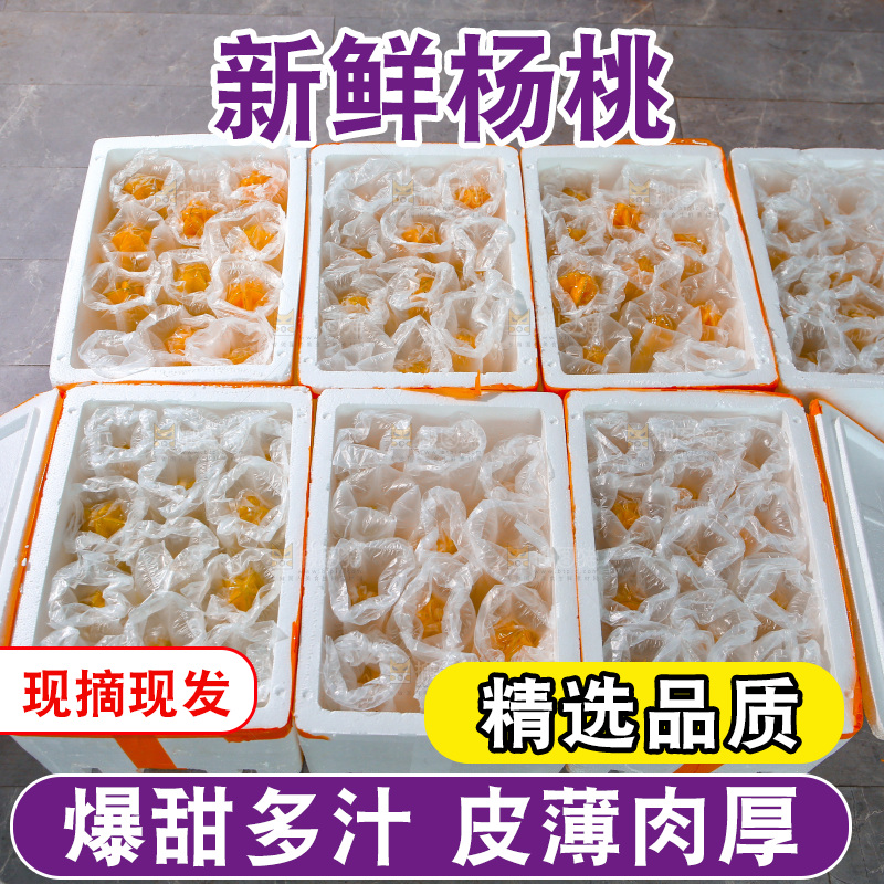 杨桃