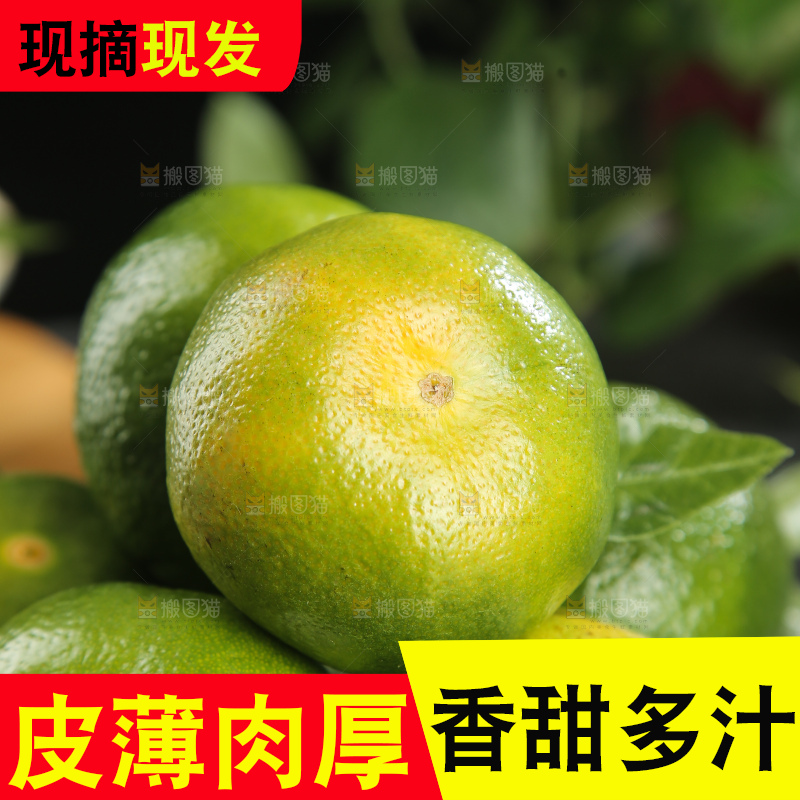 青皮蜜桔