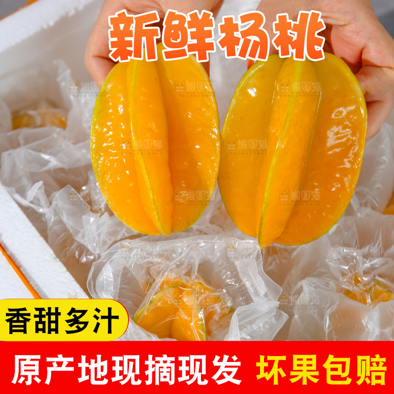 杨桃