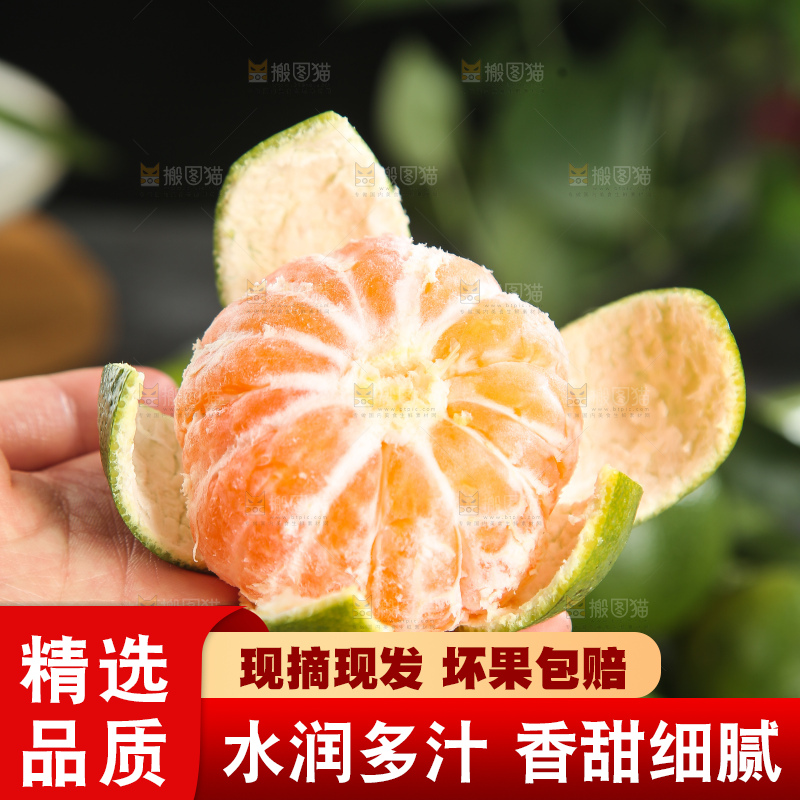 青皮蜜桔