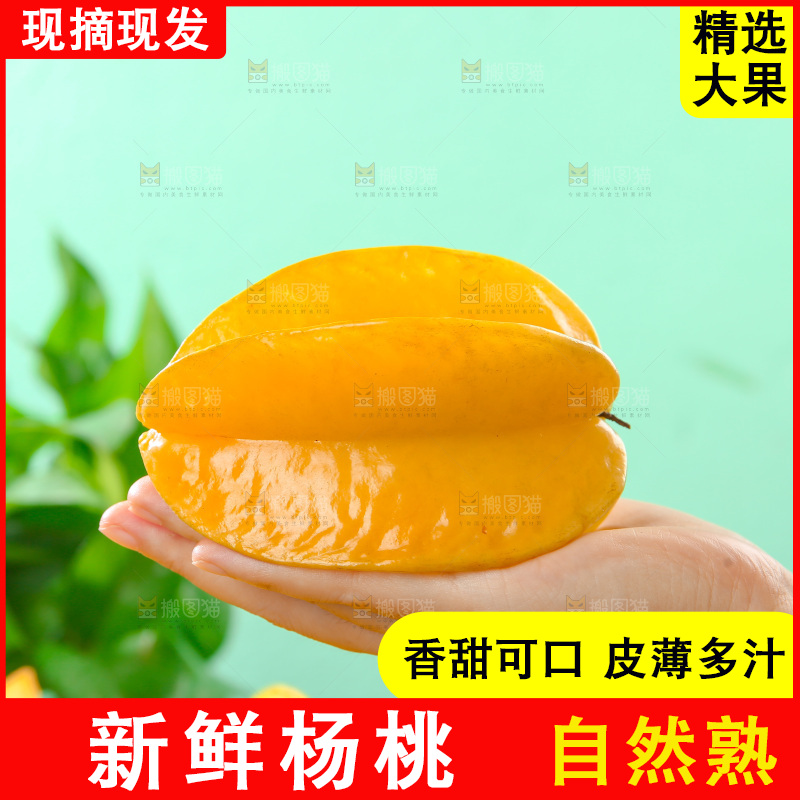 杨桃