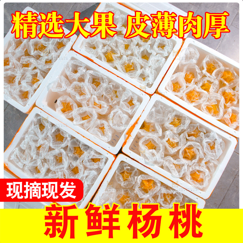 杨桃
