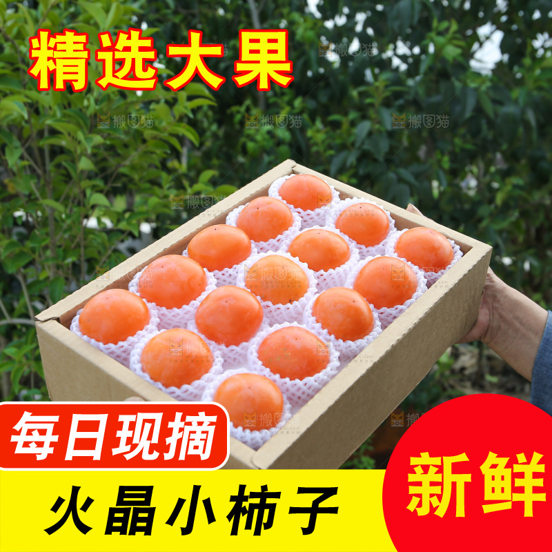 火晶柿子