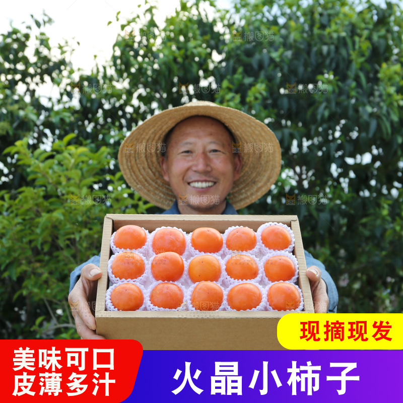火晶柿子